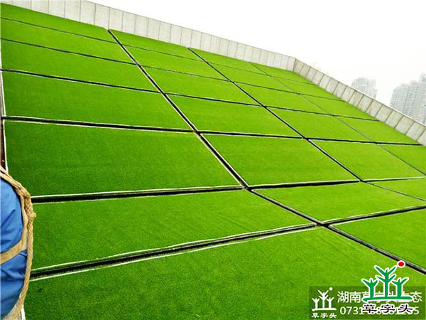 湘潭市博物館與規(guī)劃館，屋頂人造草皮綠化施工案例